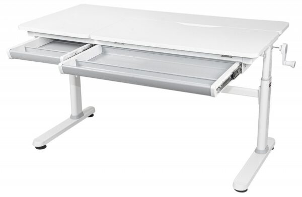 Парта двухместная INGS Desk Duo DER2