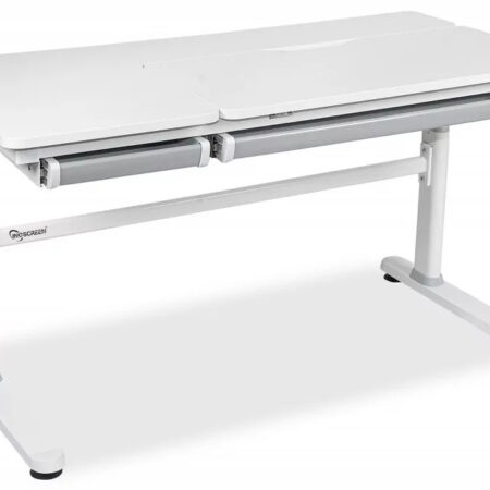 Парта двухместная INGS Desk Duo DER2