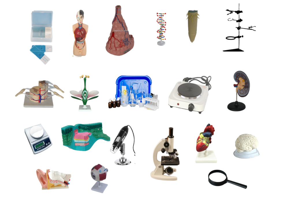 Комплект лабораторного оборудования ARYSTAN BIO-23 для учебного кабинета биологии, 23 предметов — изображение 2