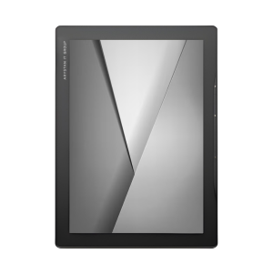 Электронная книга ARYSTAN READ-12